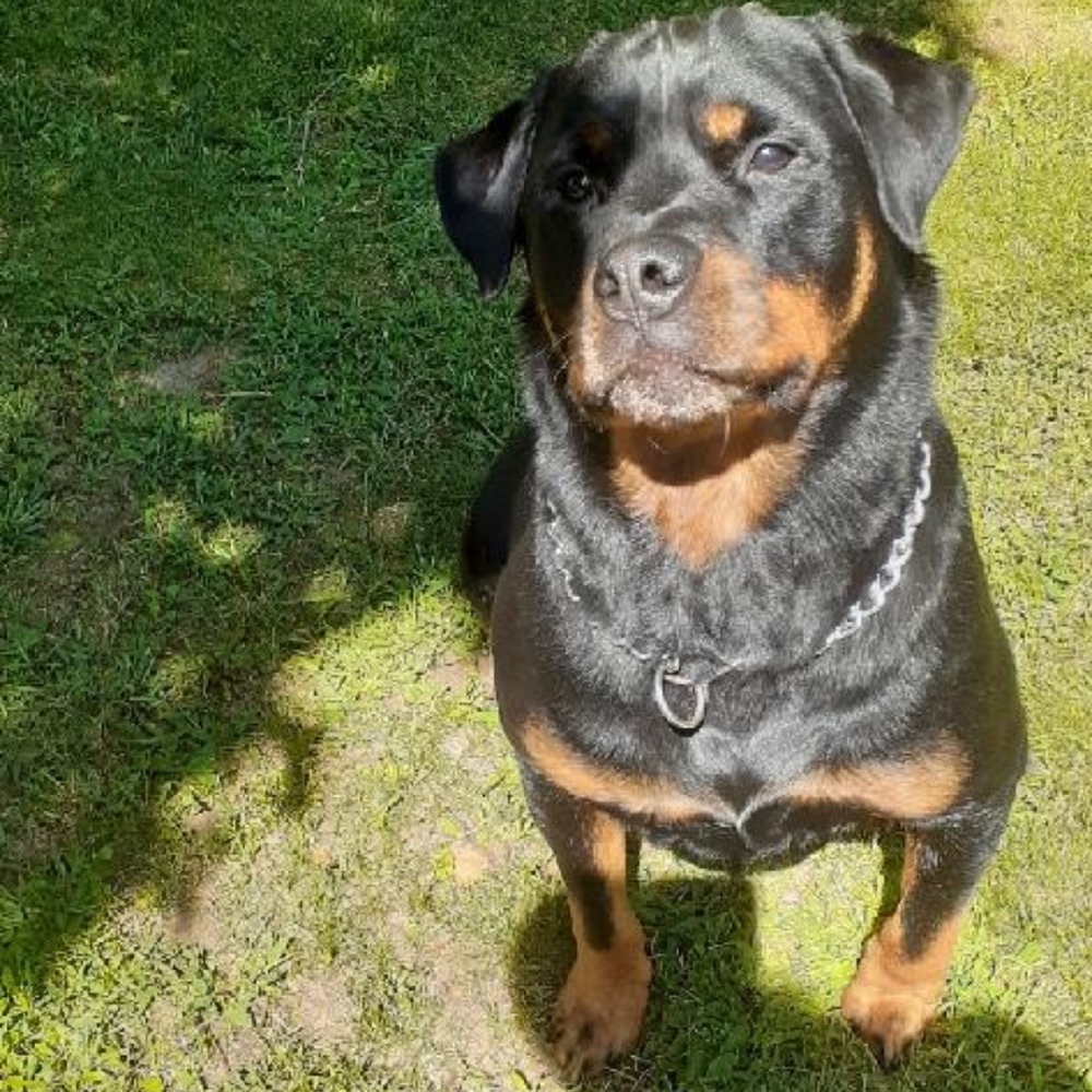 Meet your Posher, Michelle